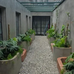 WhatsApp Image 2026-01-21 at 12.52.48